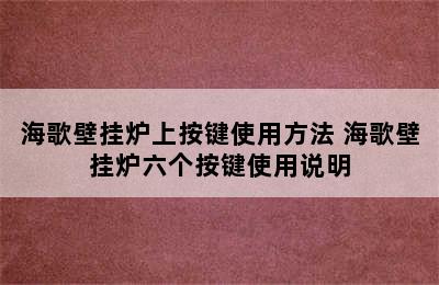 海歌壁挂炉上按键使用方法 海歌壁挂炉六个按键使用说明